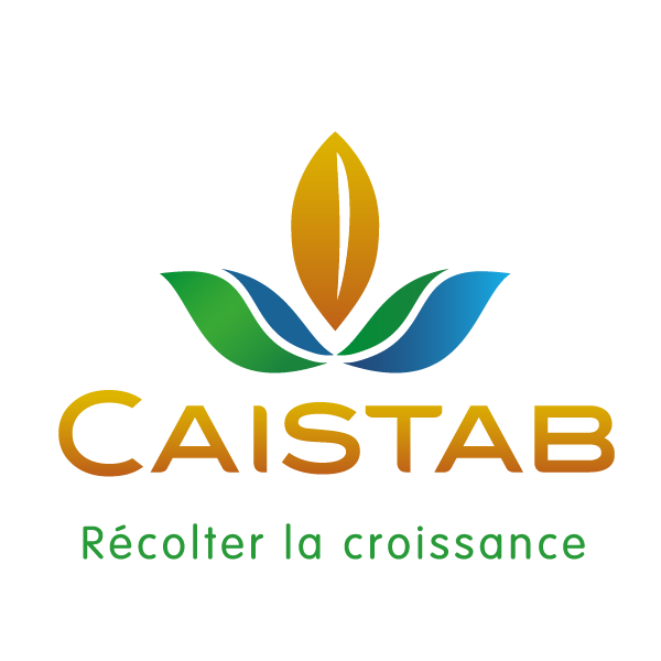 CAISTAB Colored_Plan de travail 1